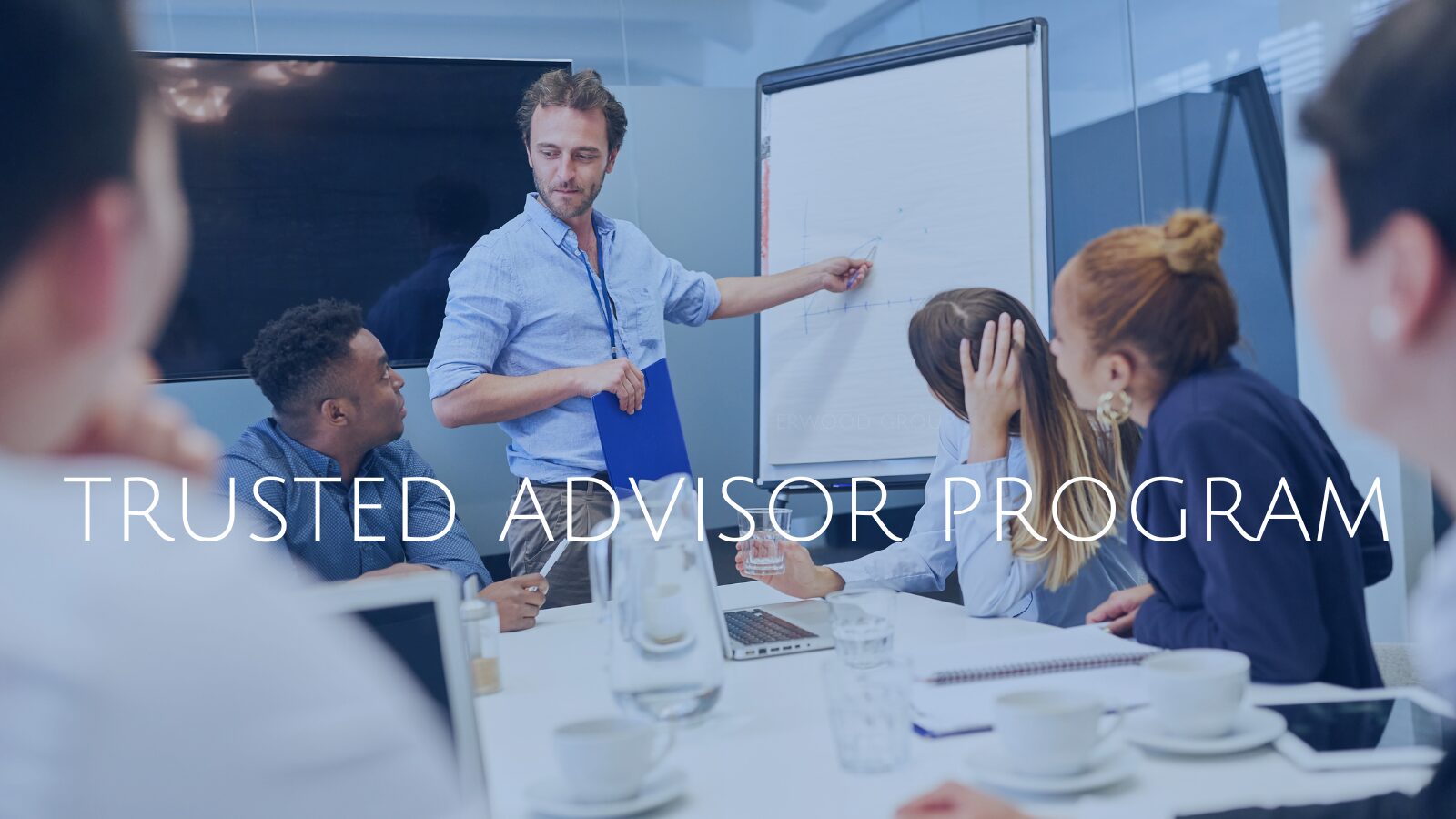 Trusted Advisor Program 